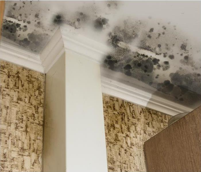 mold stains on a white ceiling, column on wall